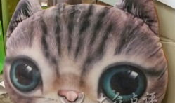 胖猫谭竹事件爆料吃瓜,揭秘娱乐圈背后的惊人真相